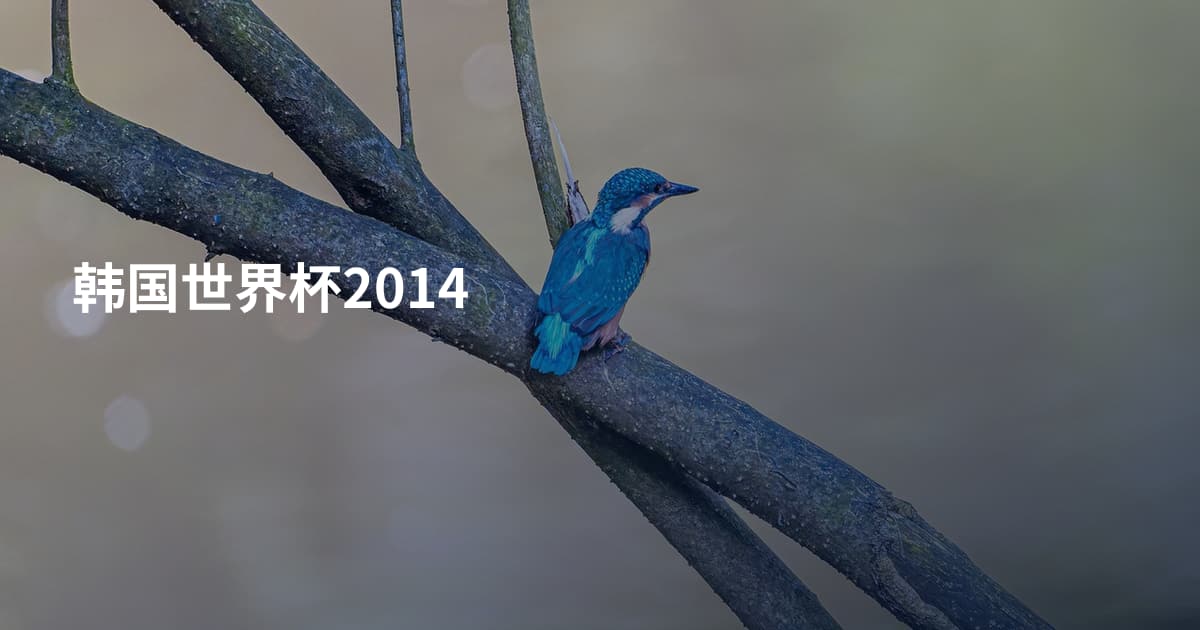 韩国世界杯2014