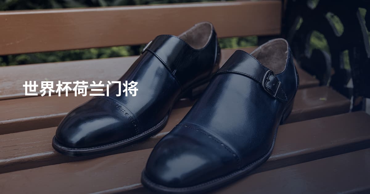 世界杯荷兰门将