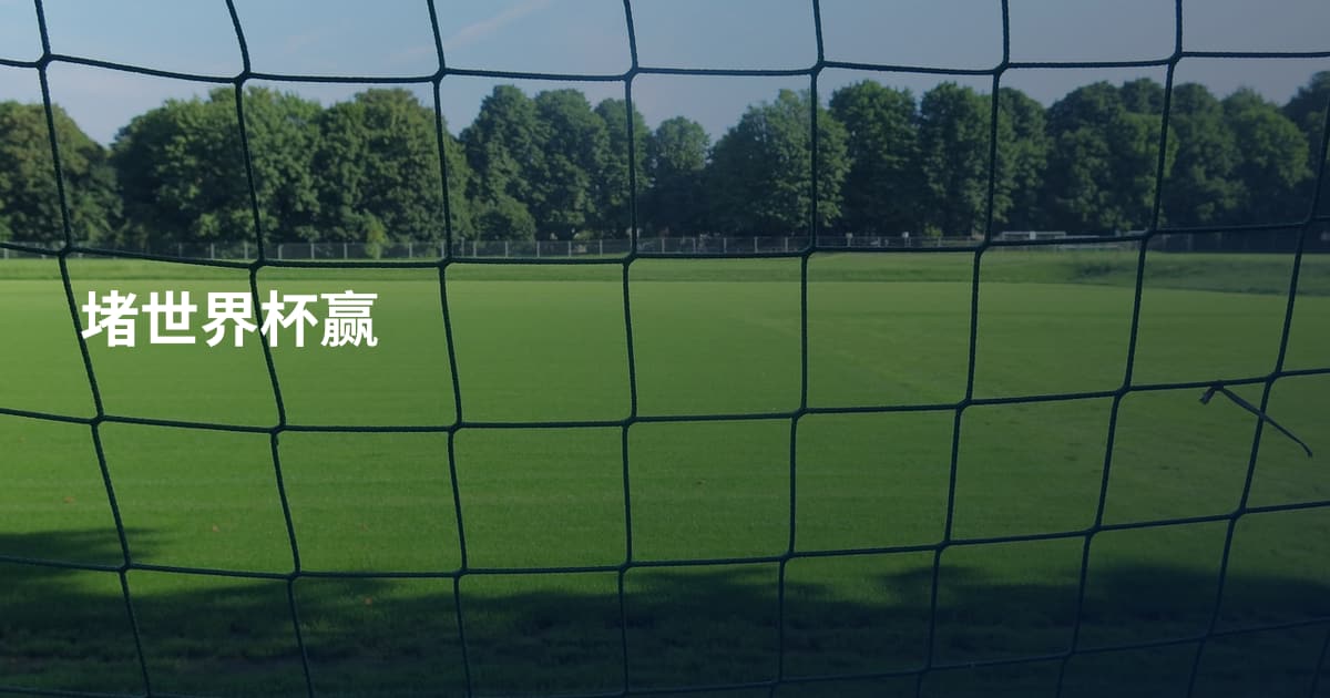 堵世界杯赢