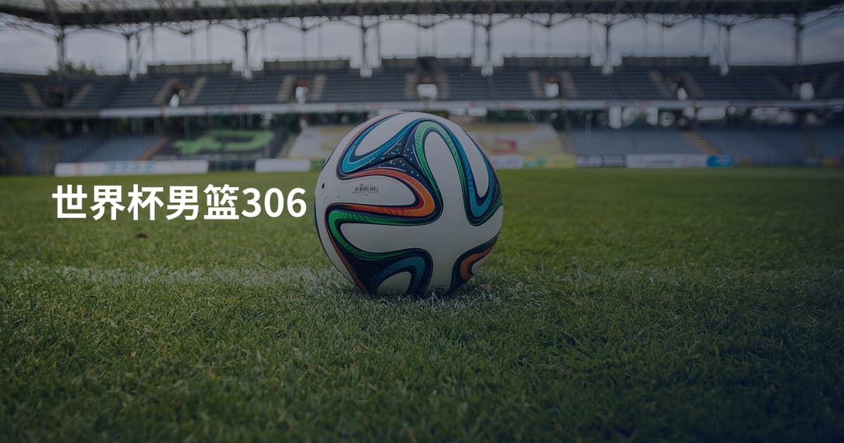 世界杯男篮306