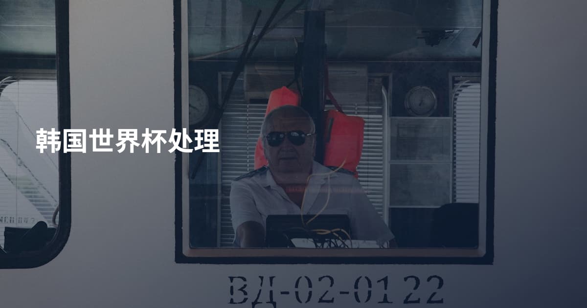 韩国世界杯处理