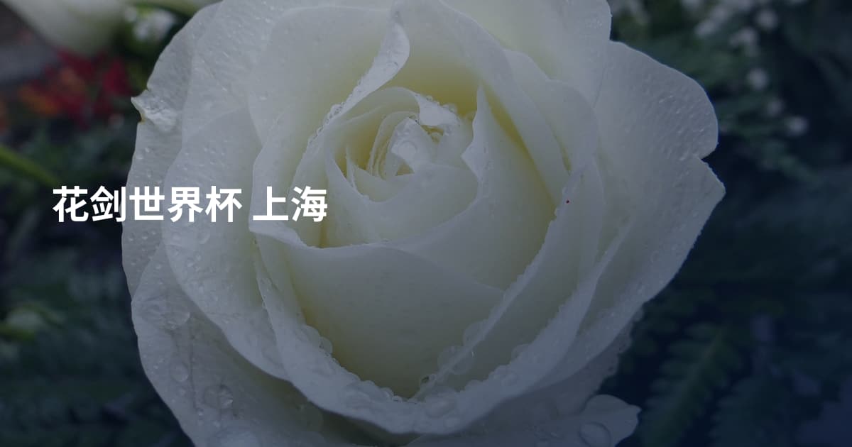 花剑世界杯 上海