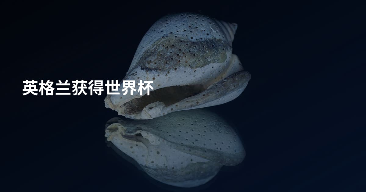 英格兰获得世界杯