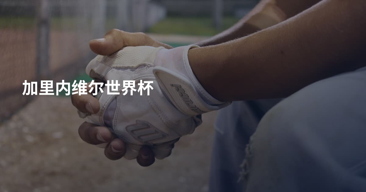 加里内维尔世界杯