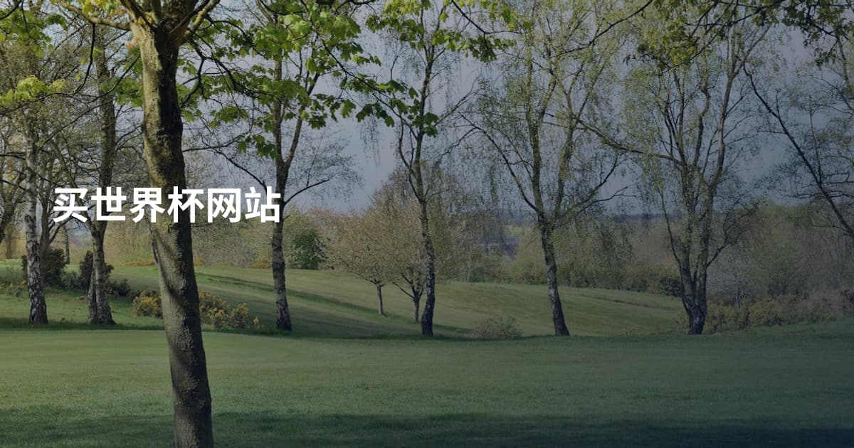 买世界杯网站