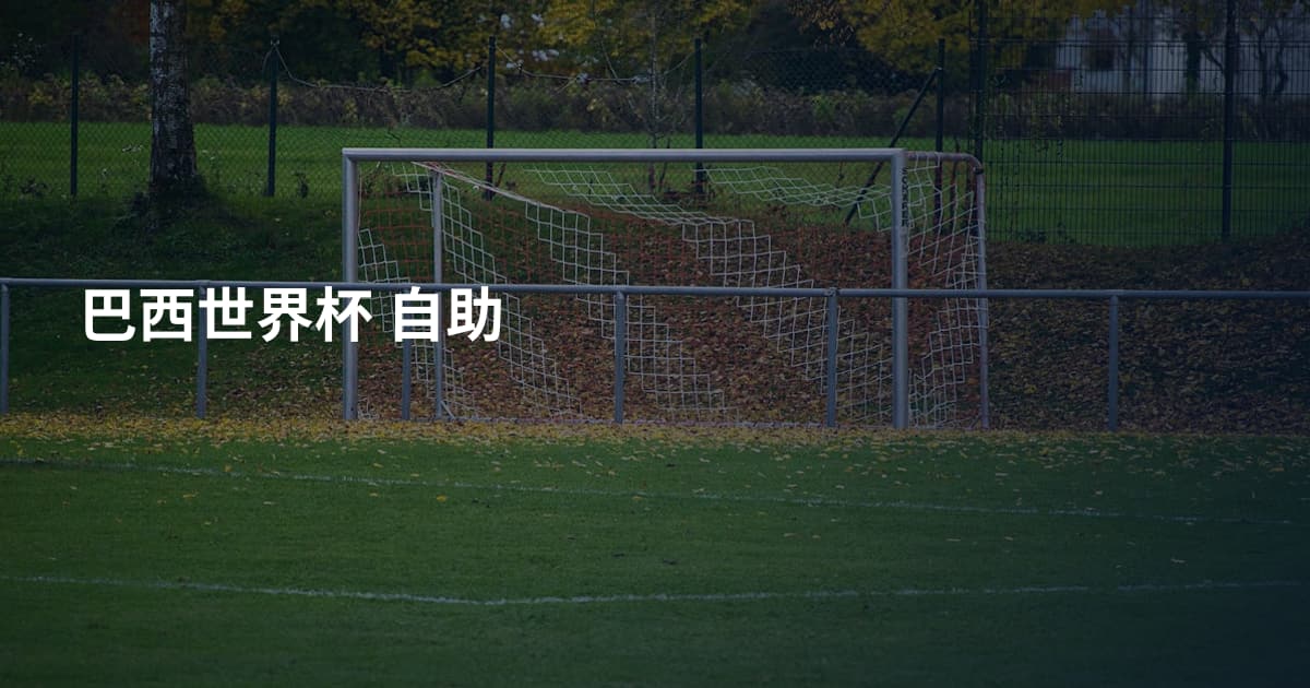 巴西世界杯 自助