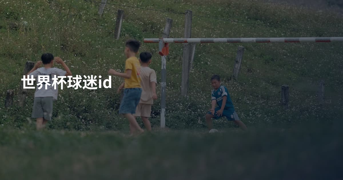 世界杯球迷id