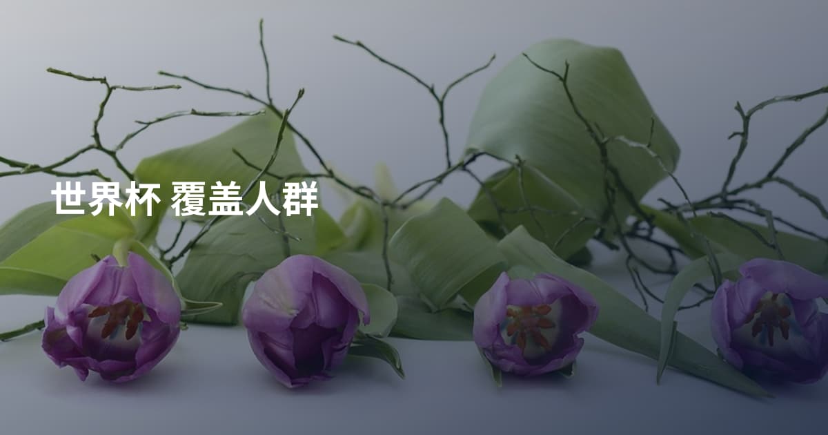 世界杯 覆盖人群