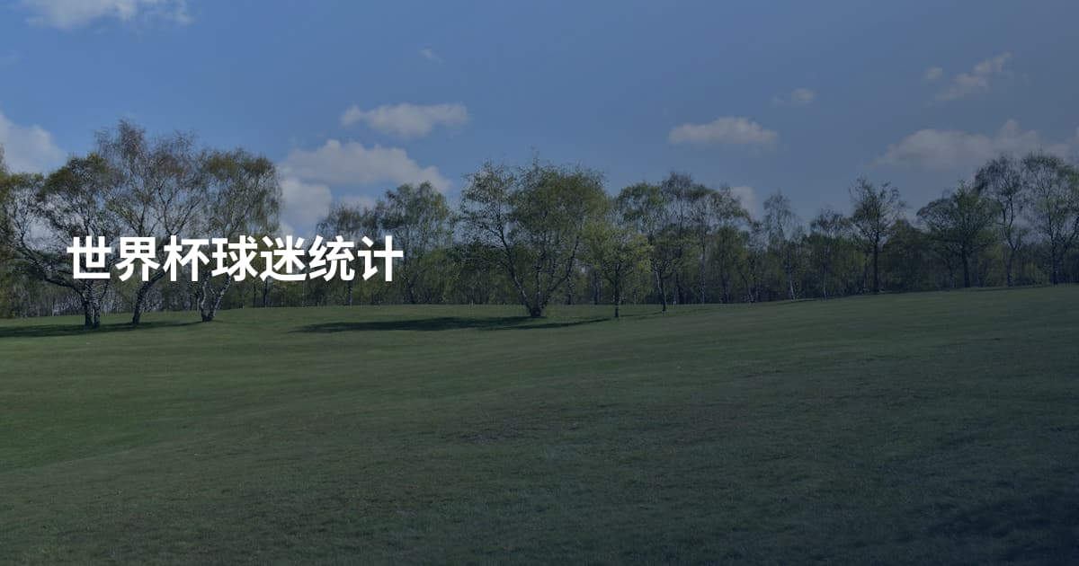 世界杯球迷统计