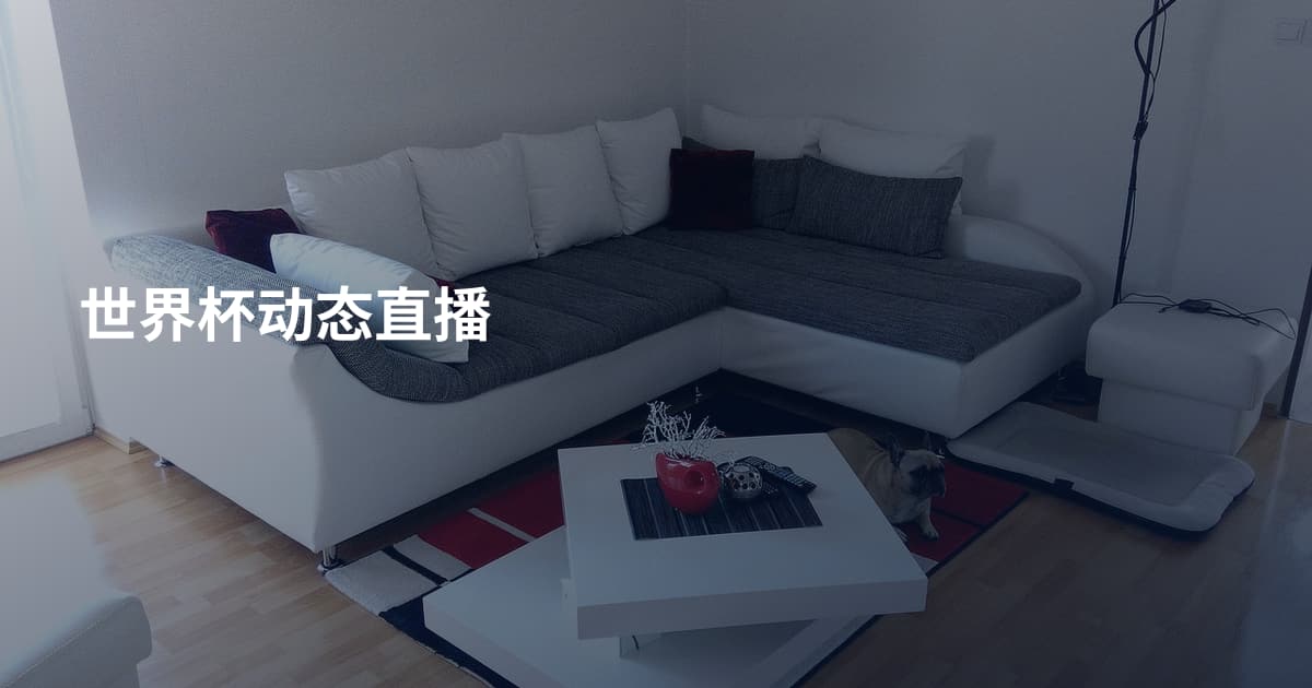 世界杯动态直播