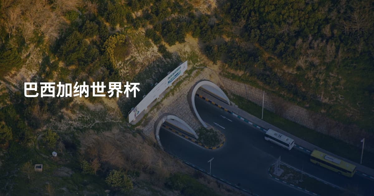 巴西加纳世界杯