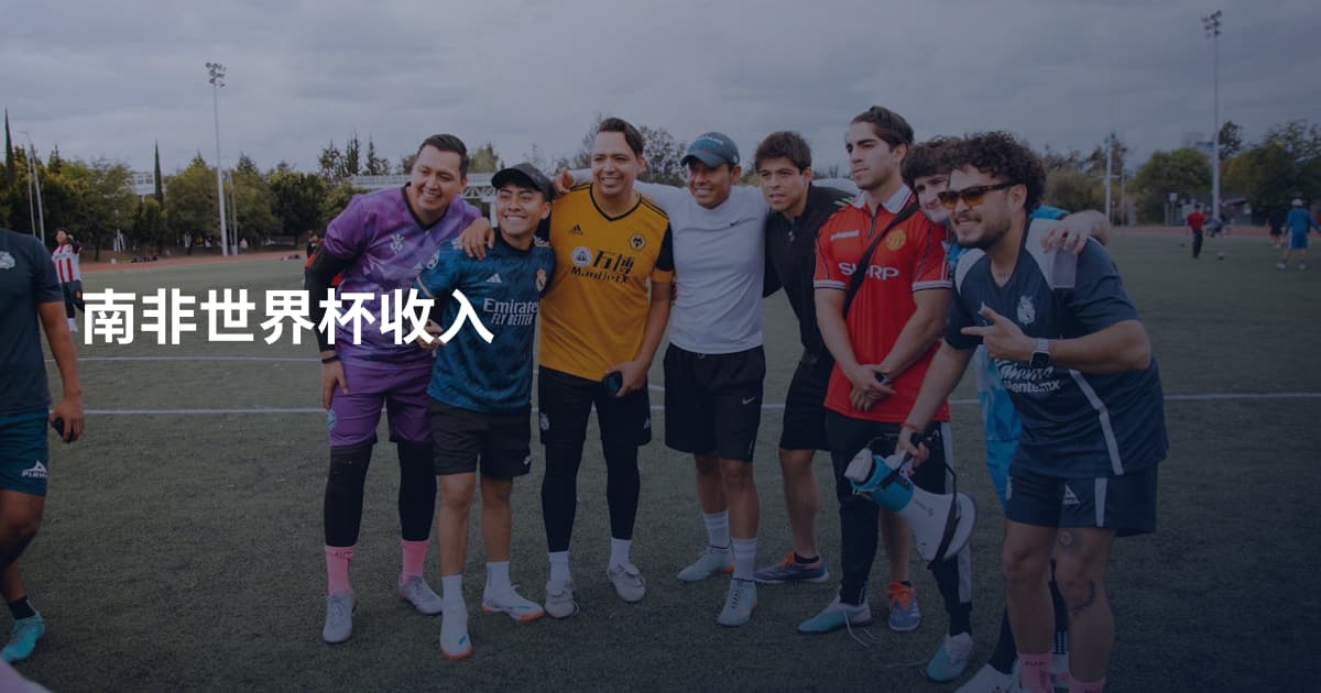南非世界杯收入
