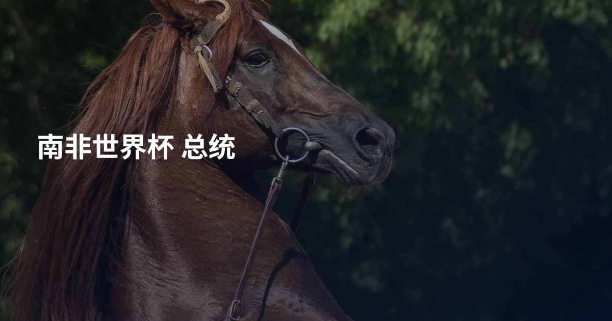 南非世界杯 总统