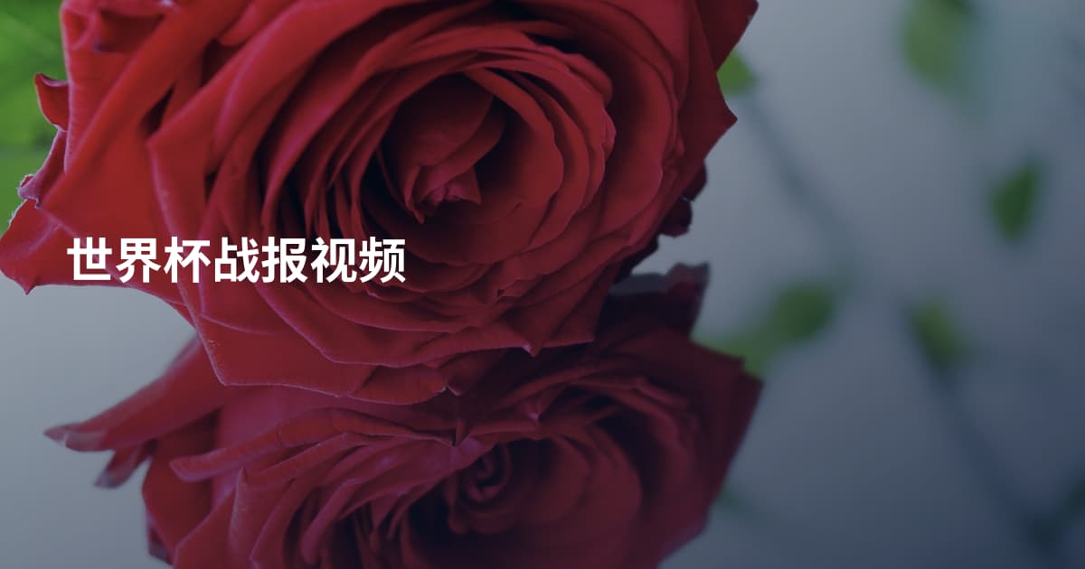 世界杯战报视频