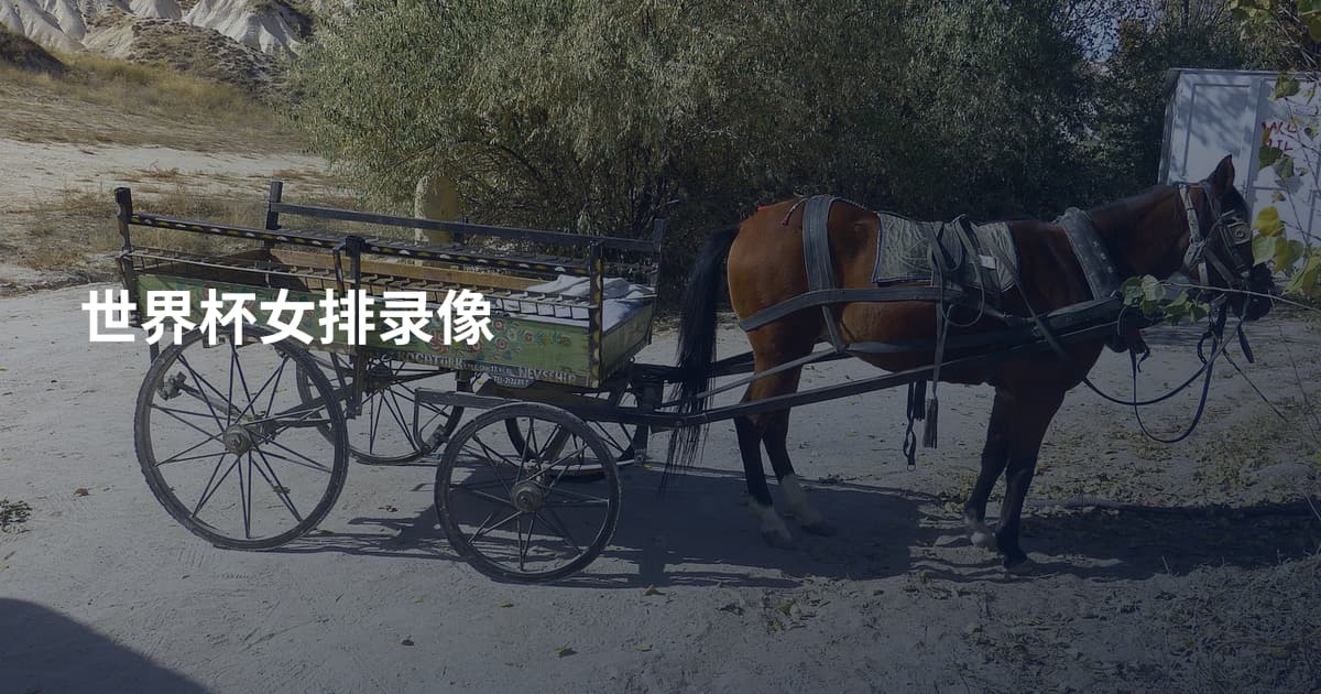 世界杯女排录像