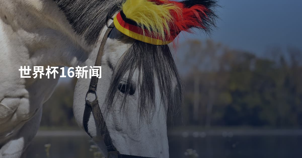 世界杯16新闻