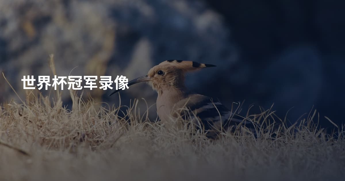 世界杯冠军录像