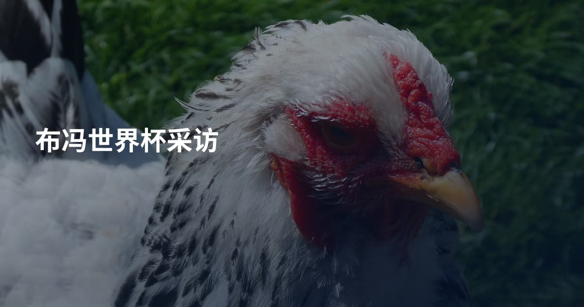 布冯世界杯采访