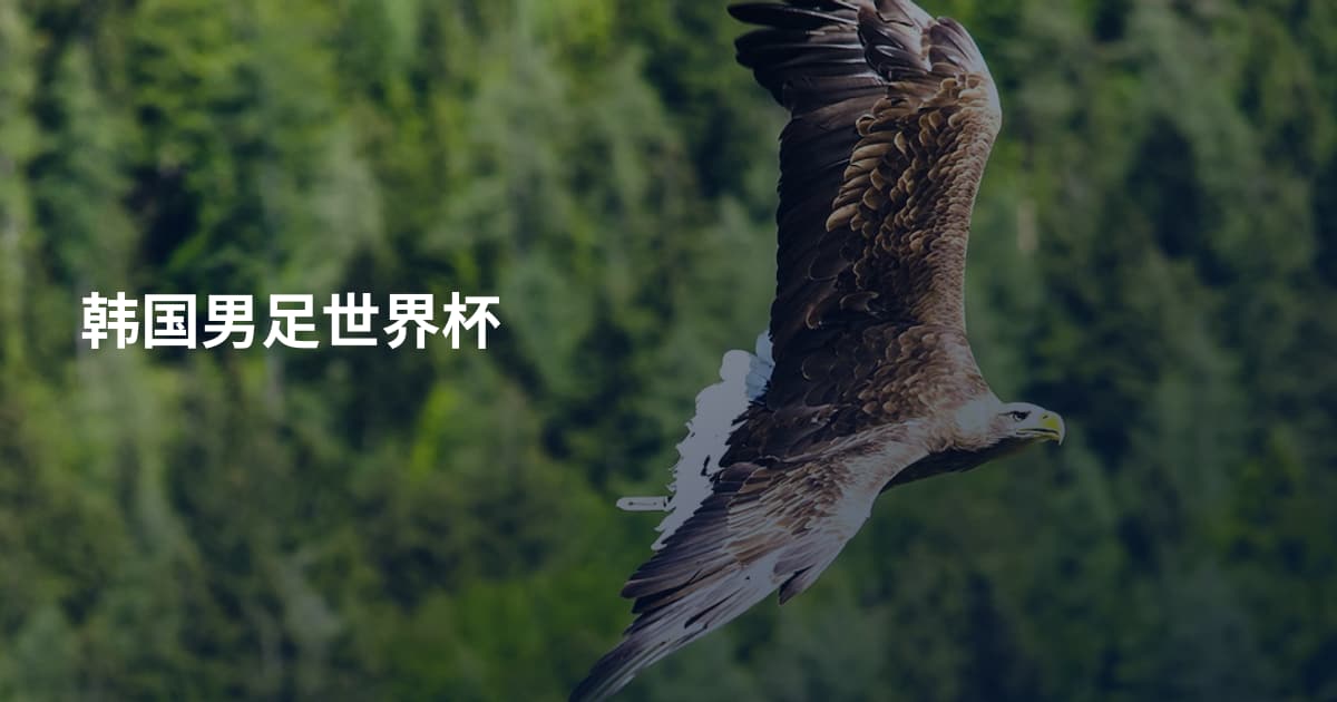 韩国男足世界杯