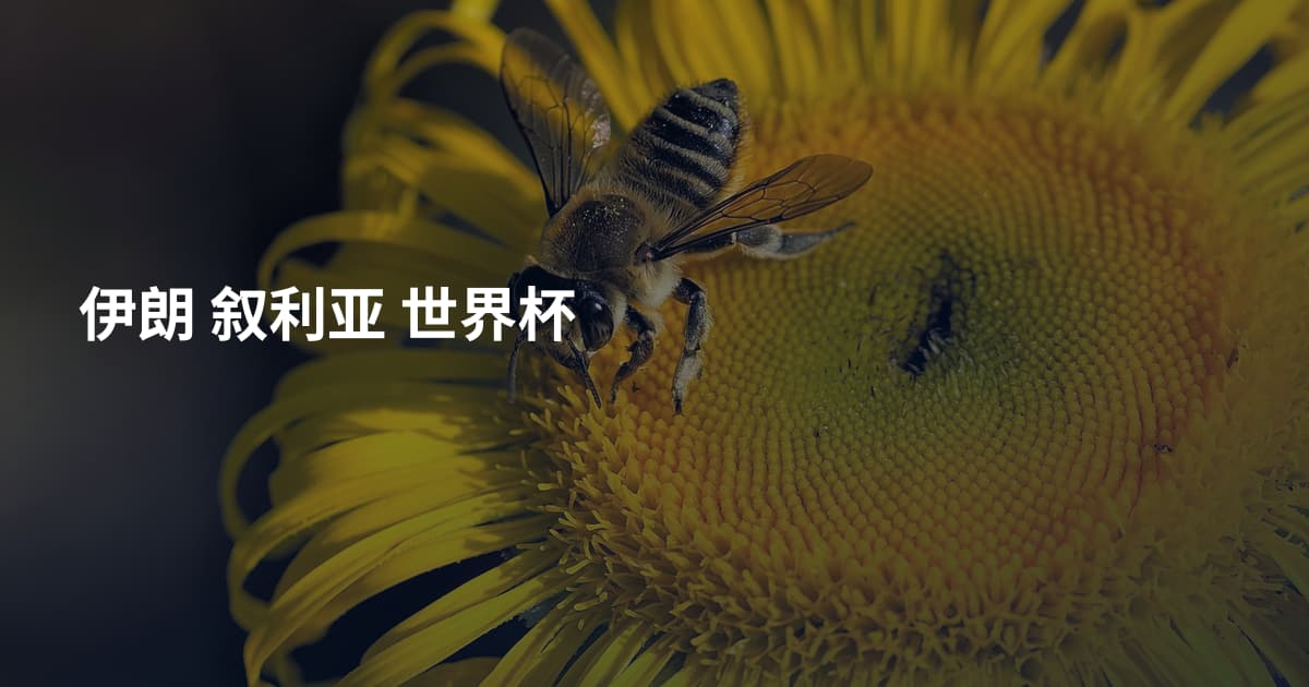 伊朗 叙利亚 世界杯