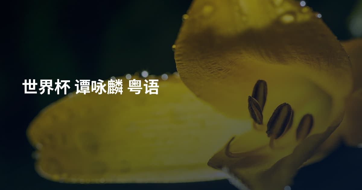 世界杯 谭咏麟 粤语