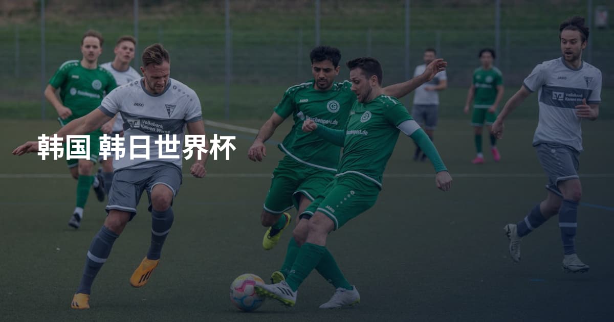 韩国 韩日世界杯