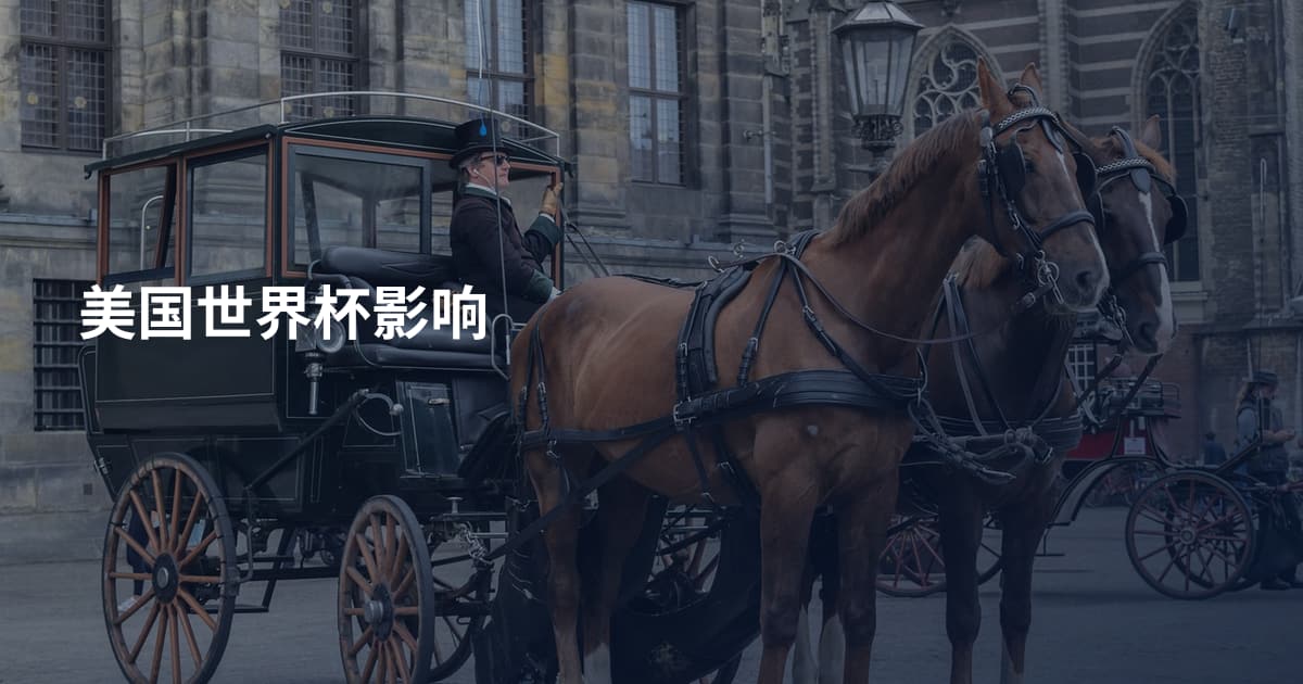 美国世界杯影响