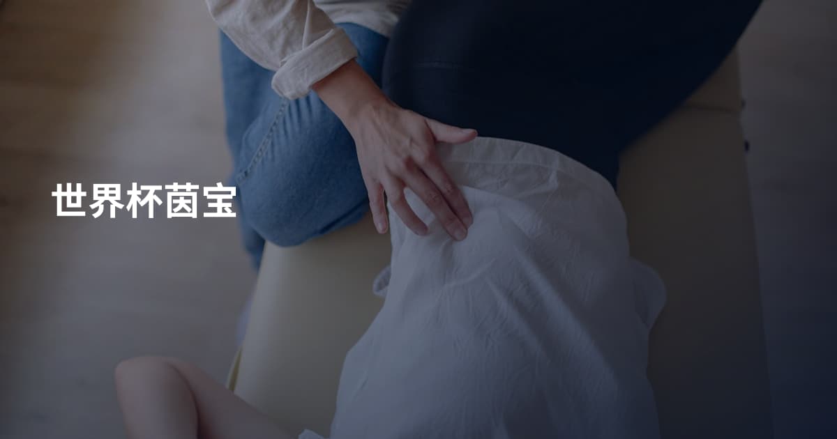 世界杯茵宝