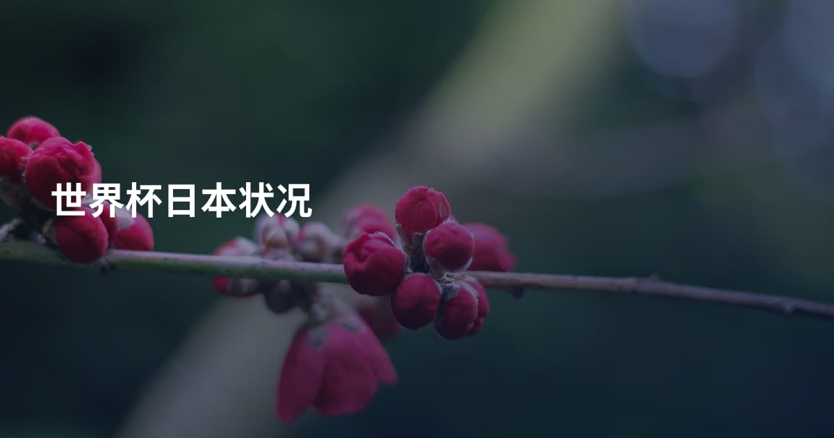 世界杯日本状况