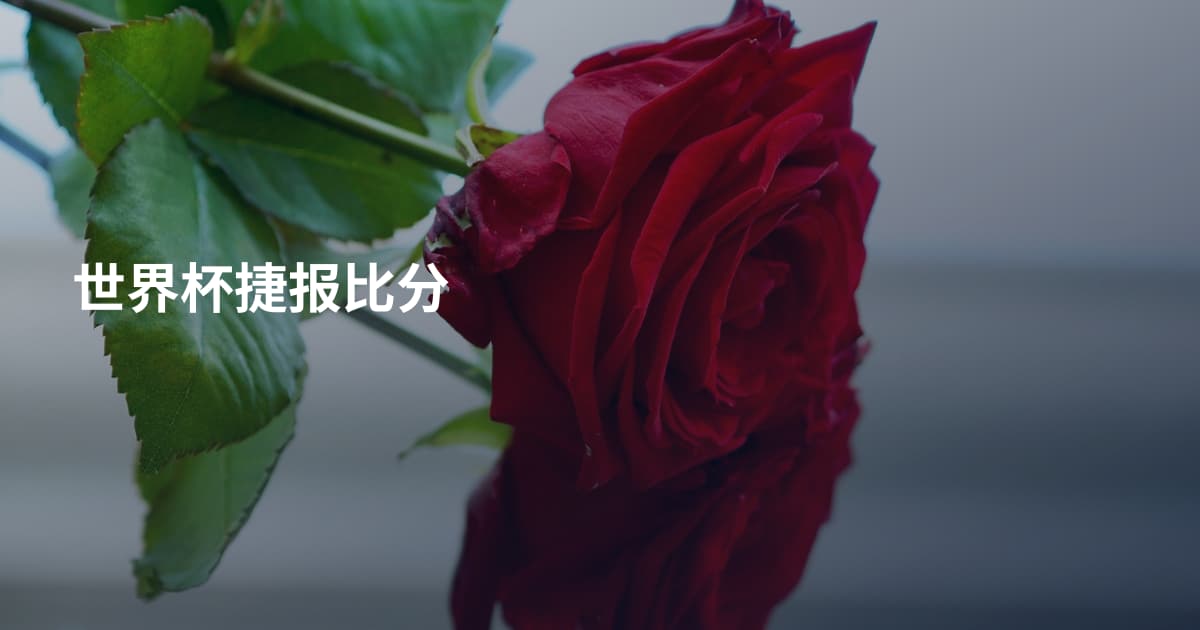 世界杯捷报比分