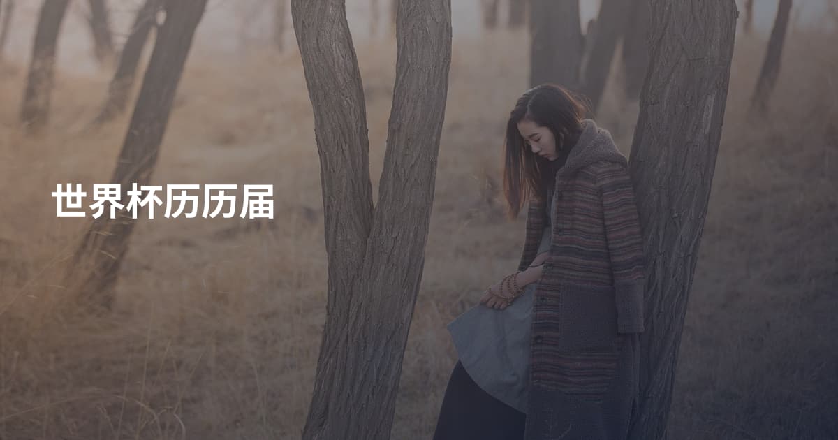 世界杯历历届