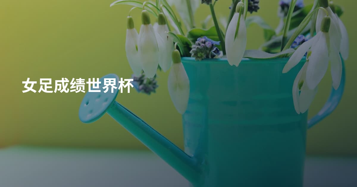女足成绩世界杯