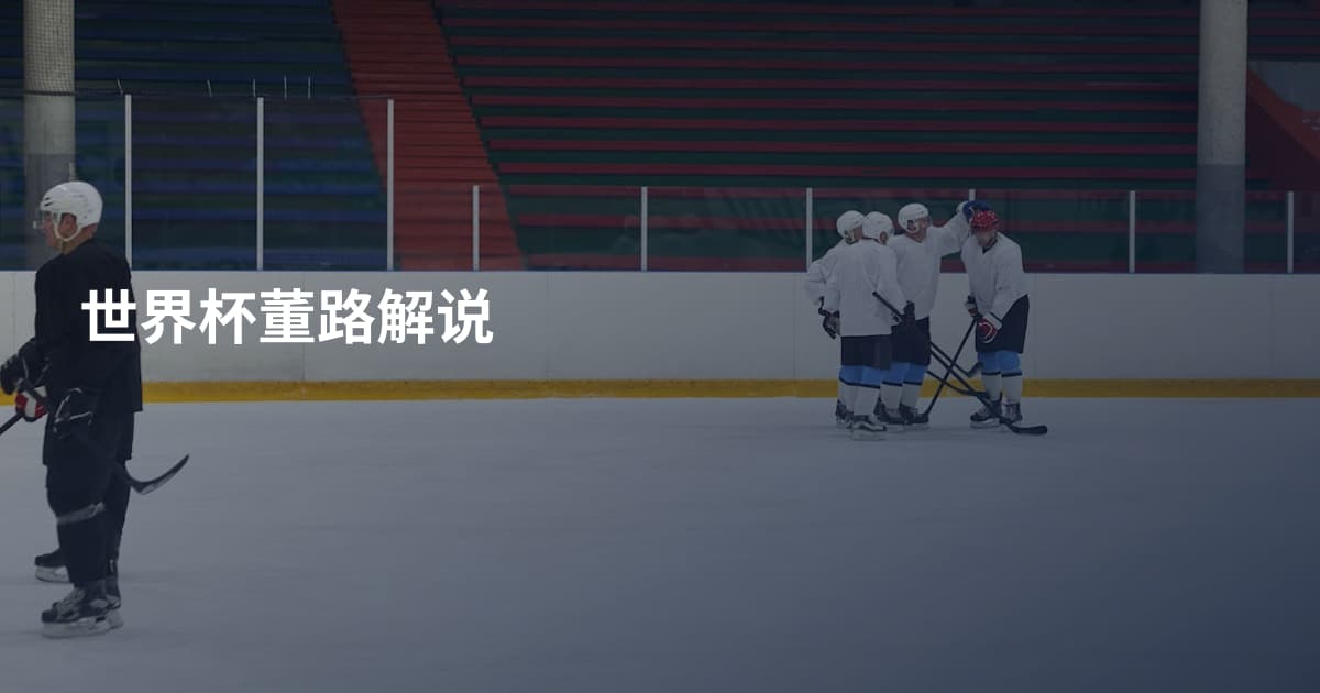 世界杯董路解说