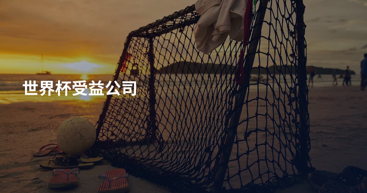 世界杯受益公司