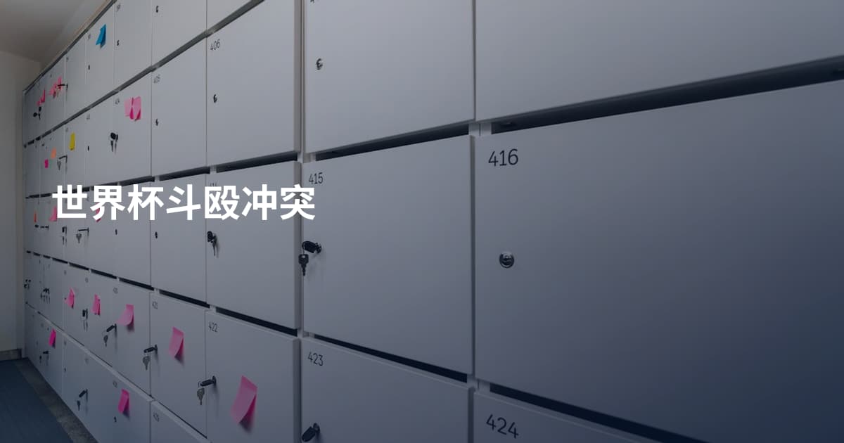 世界杯斗殴冲突