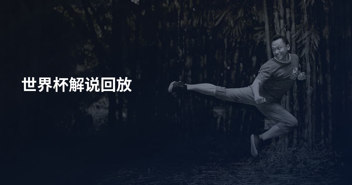 世界杯解说回放