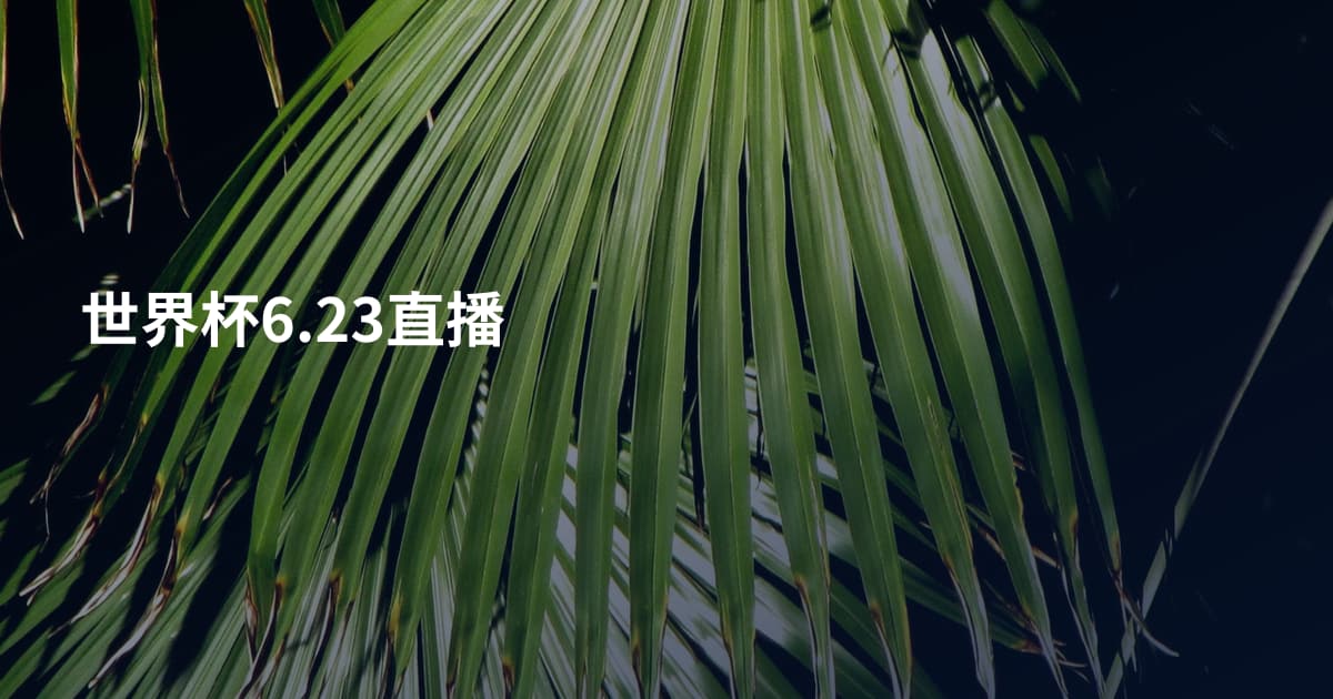 世界杯6.23直播