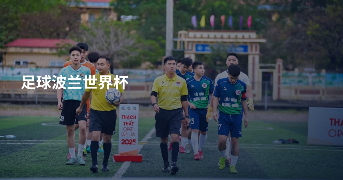 足球波兰世界杯