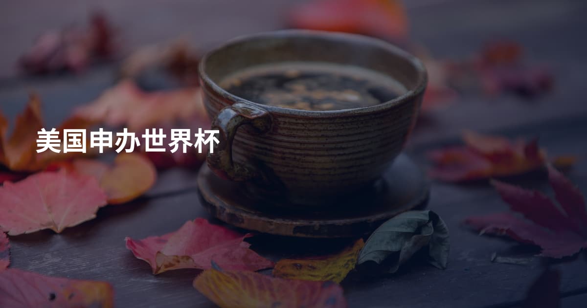 美国申办世界杯