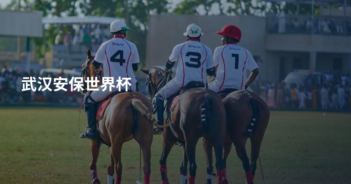 武汉安保世界杯