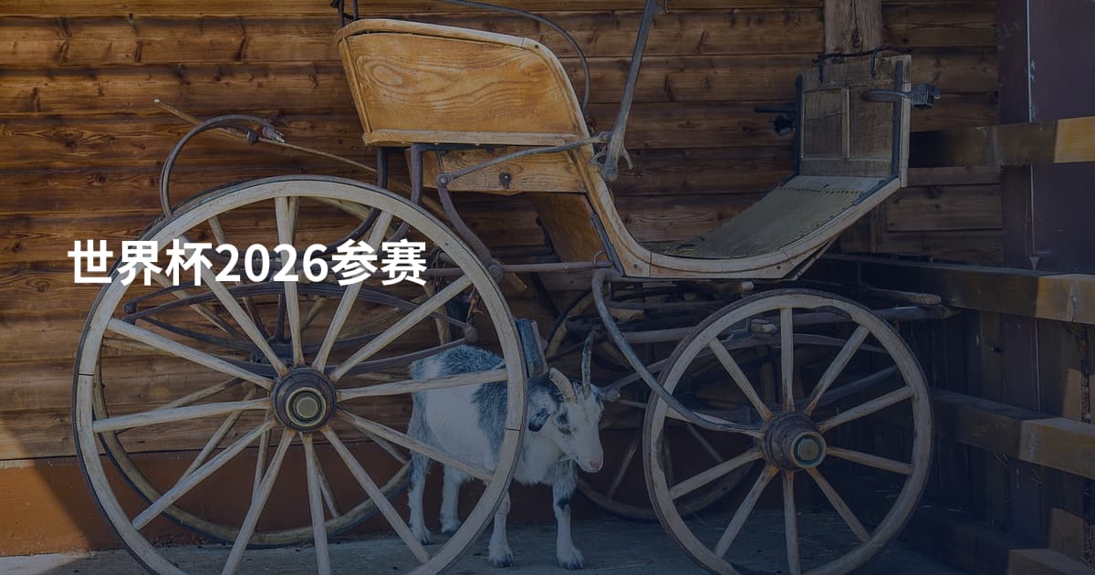 世界杯2026参赛