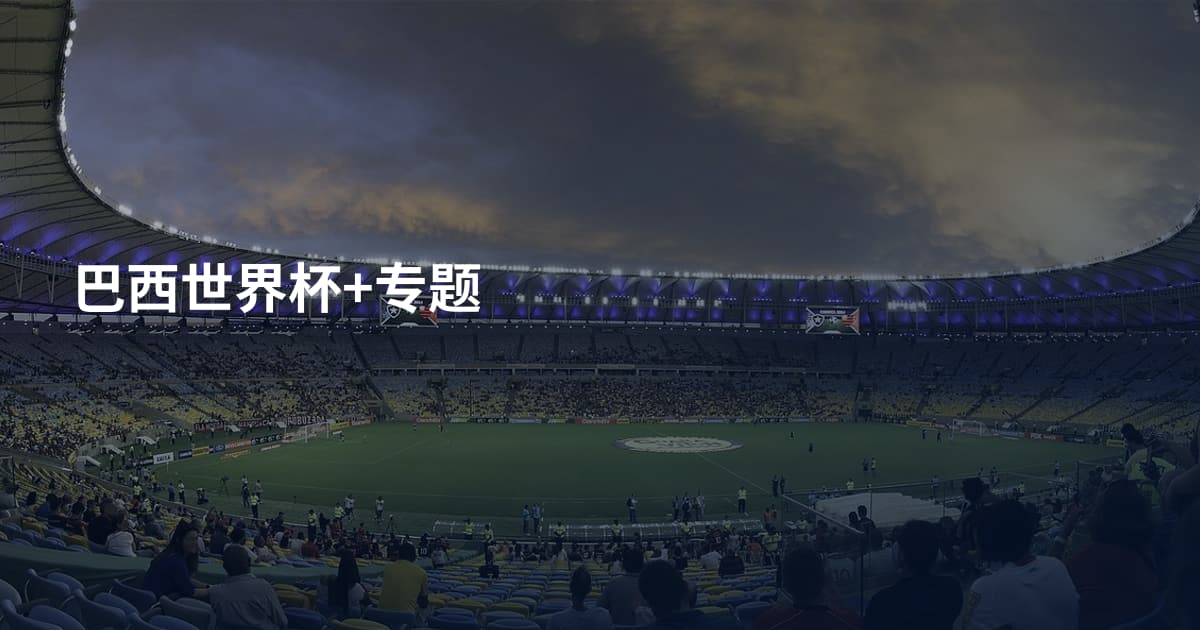 巴西世界杯+专题