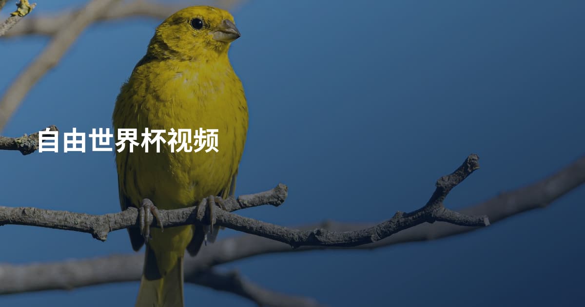 自由世界杯视频