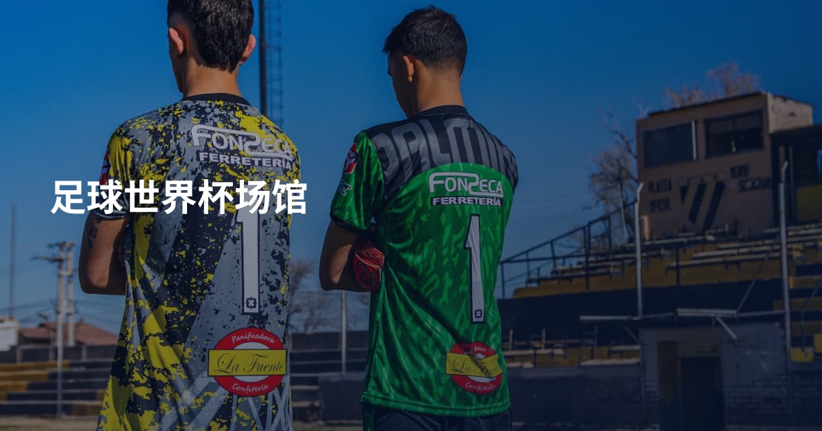 足球世界杯场馆