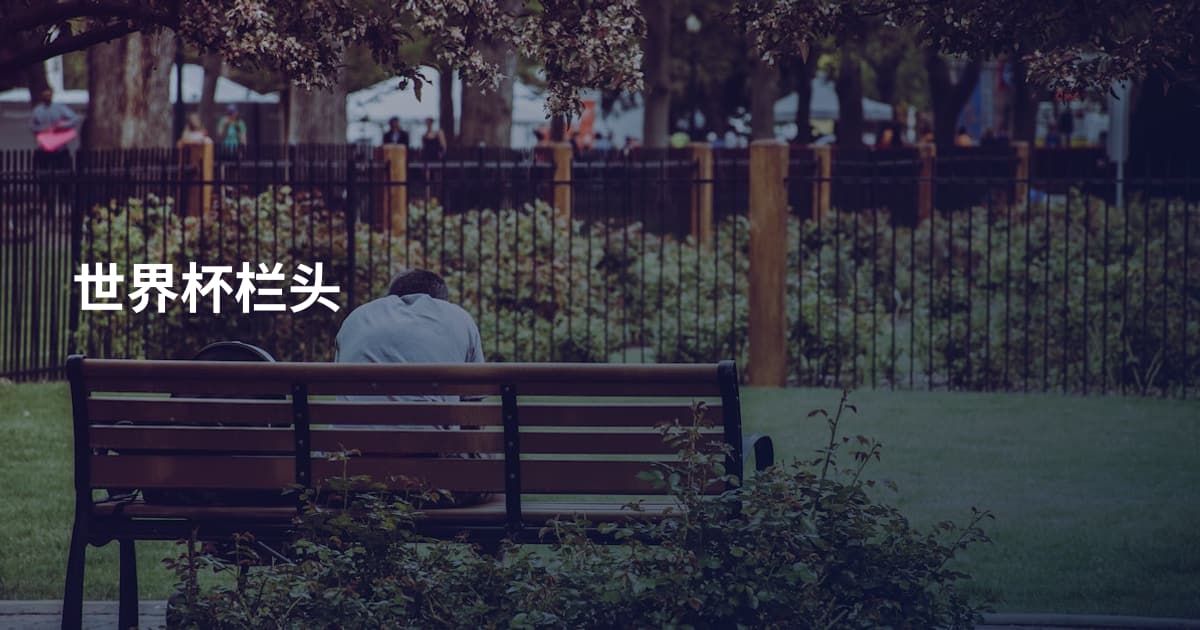 世界杯栏头