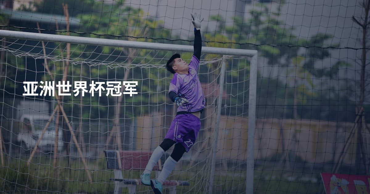 亚洲世界杯冠军