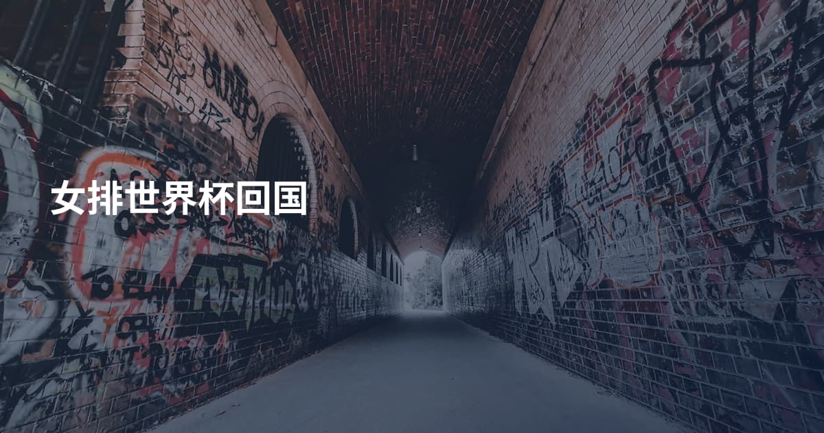 女排世界杯回国