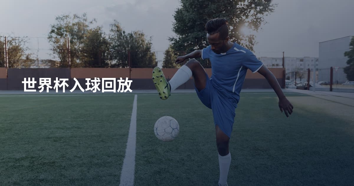 世界杯入球回放