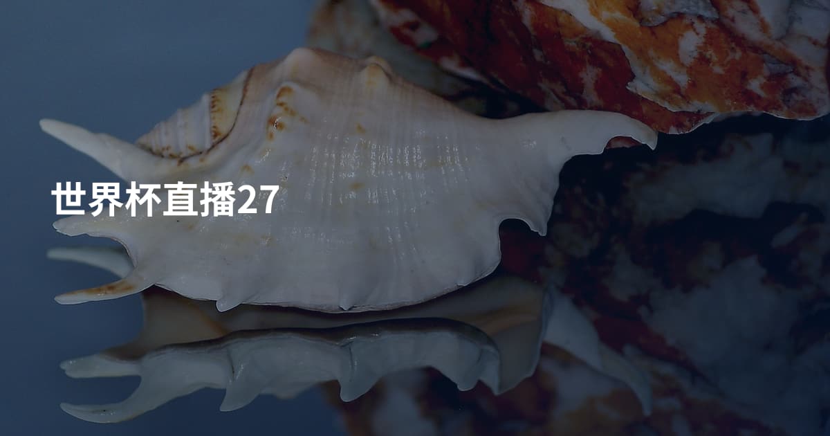 世界杯直播27