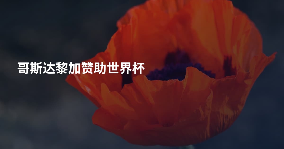 哥斯达黎加赞助世界杯